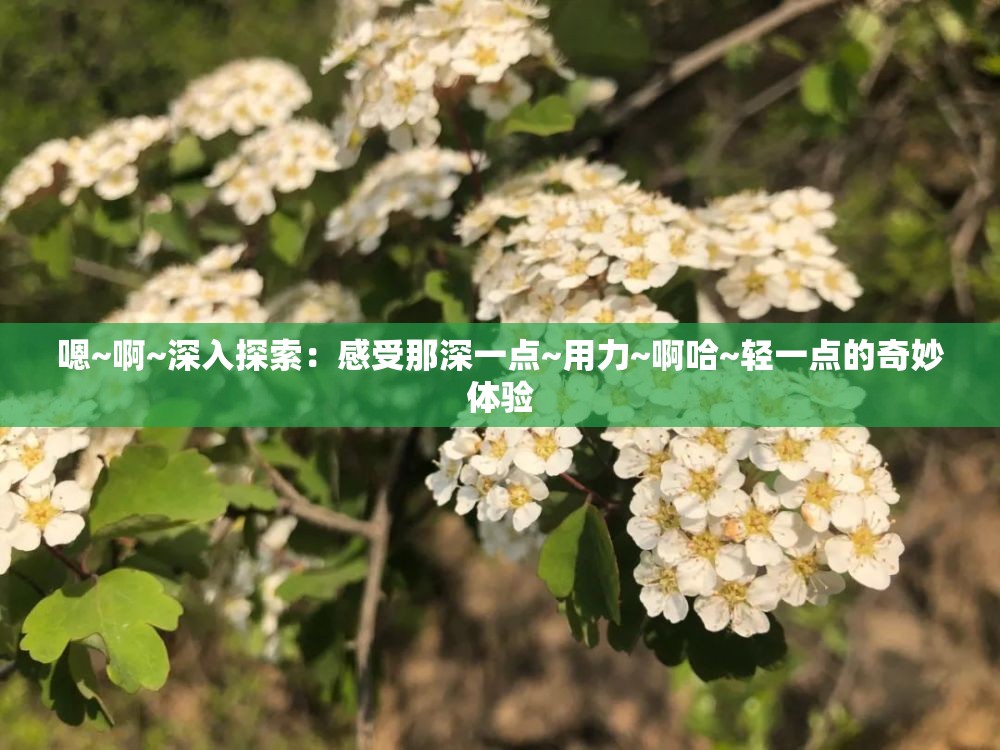 嗯~啊~深入探索：感受那深一点~用力~啊哈~轻一点的奇妙体验