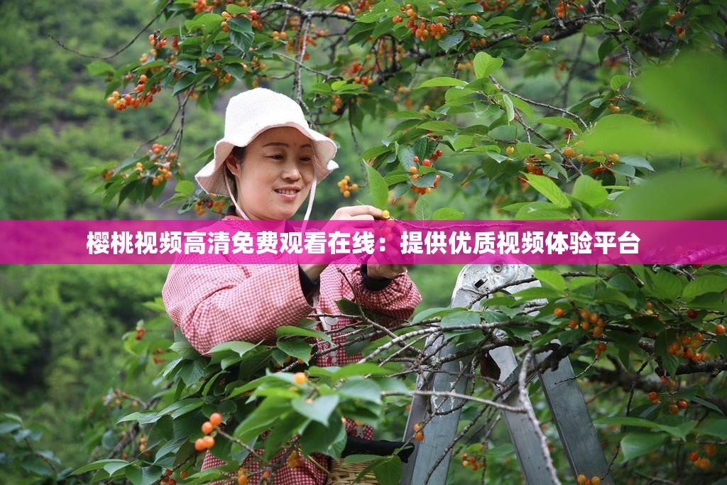 樱桃视频高清免费观看在线：提供优质视频体验平台