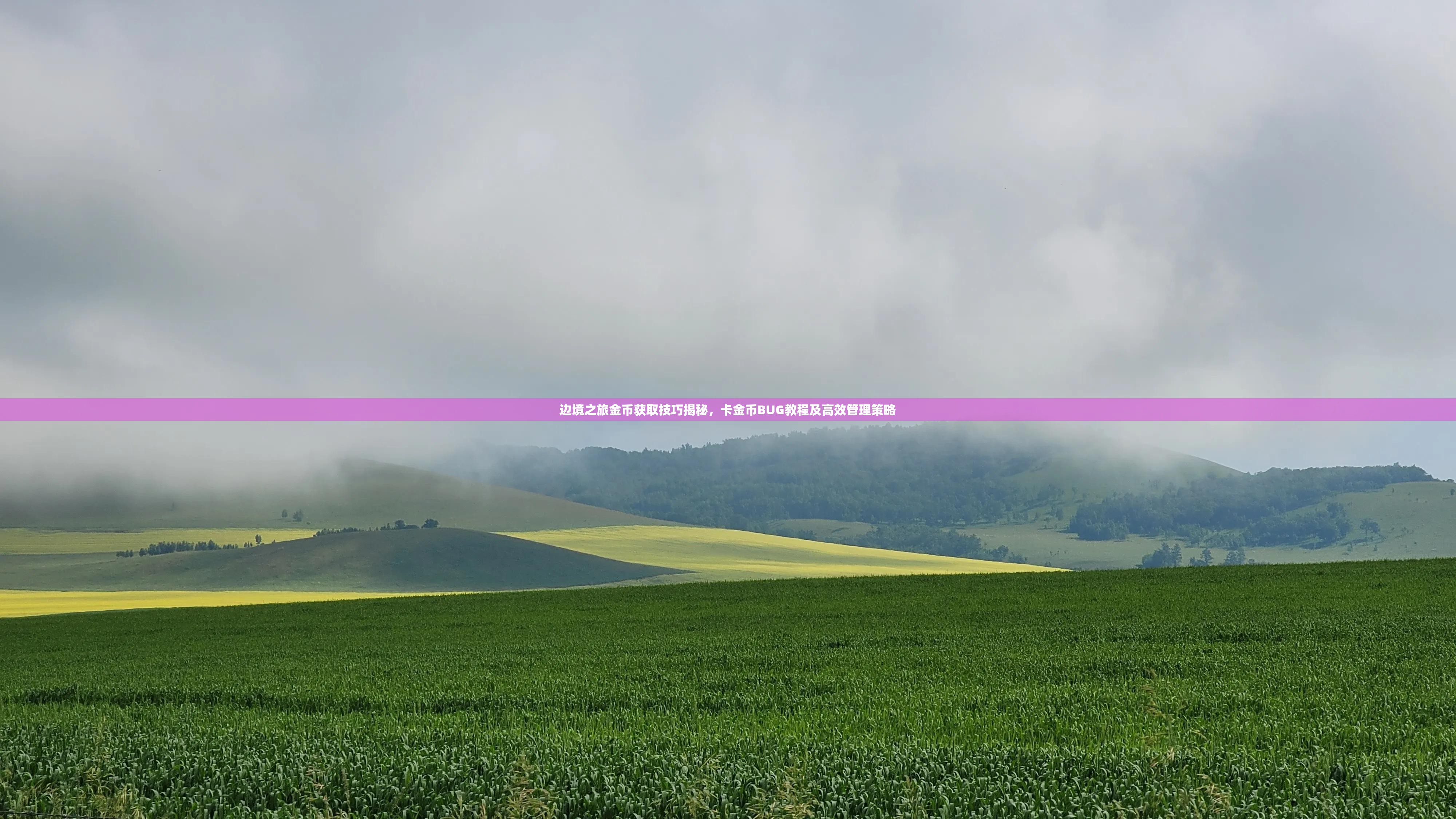 边境之旅金币获取技巧揭秘，卡金币BUG教程及高效管理策略