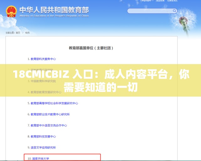 18CMICBIZ 入口：成人内容平台，你需要知道的一切