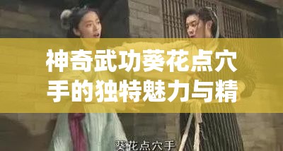 神奇武功葵花点穴手的独特魅力与精彩演绎