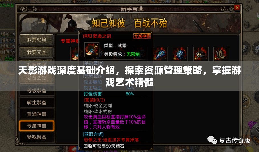 天影游戏深度基础介绍，探索资源管理策略，掌握游戏艺术精髓