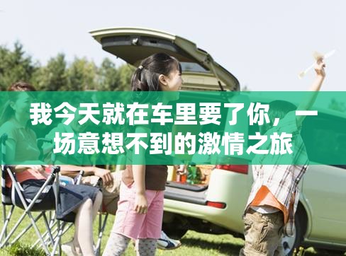 我今天就在车里要了你，一场意想不到的激情之旅