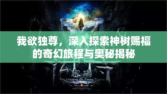 我欲独尊，深入探索神树赐福的奇幻旅程与奥秘揭秘