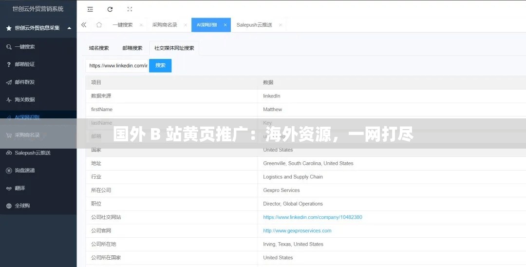 国外 B 站黄页推广：海外资源，一网打尽