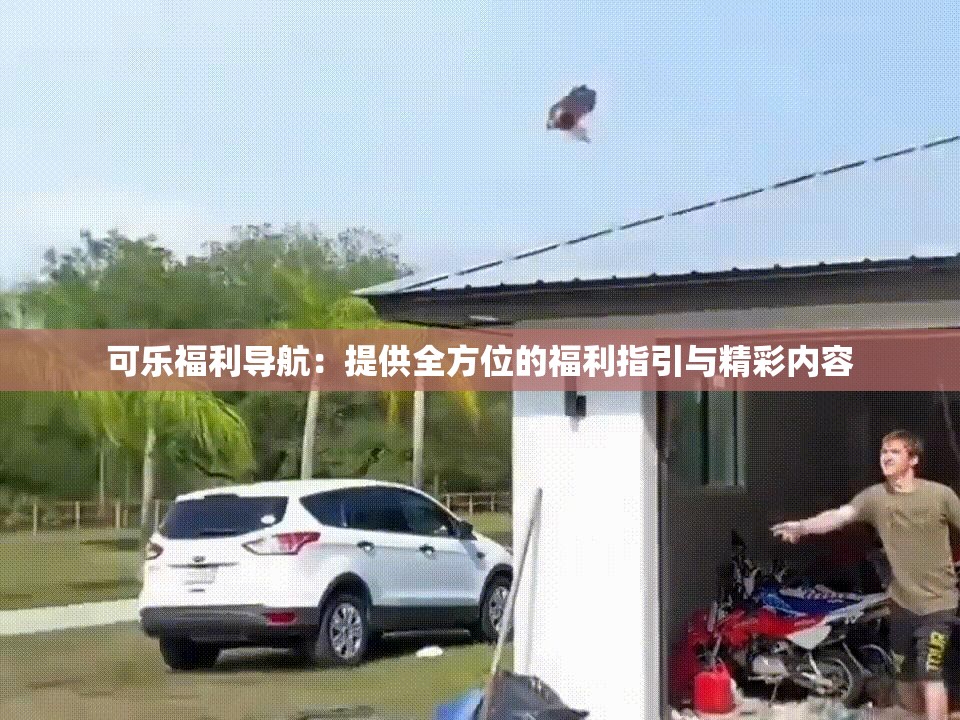 可乐福利导航：提供全方位的福利指引与精彩内容