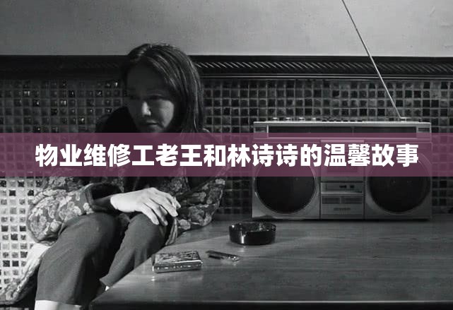 物业维修工老王和林诗诗的温馨故事