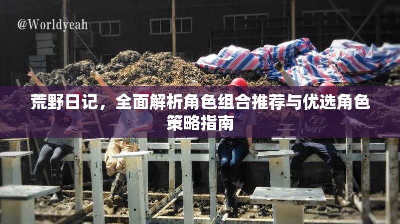 荒野日记，全面解析角色组合推荐与优选角色策略指南