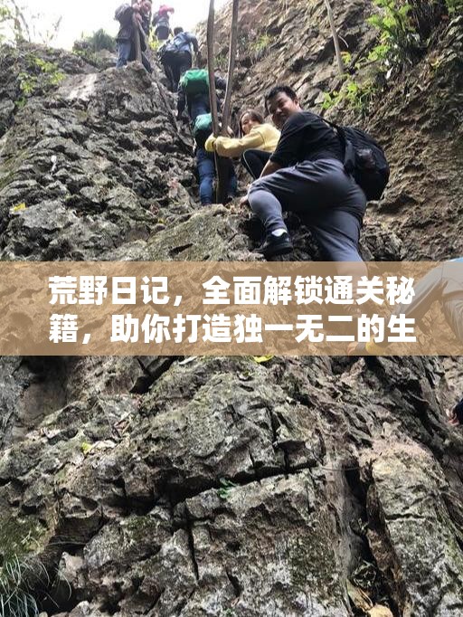 荒野日记，全面解锁通关秘籍，助你打造独一无二的生存传奇之旅