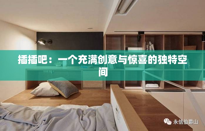 插插吧：一个充满创意与惊喜的独特空间