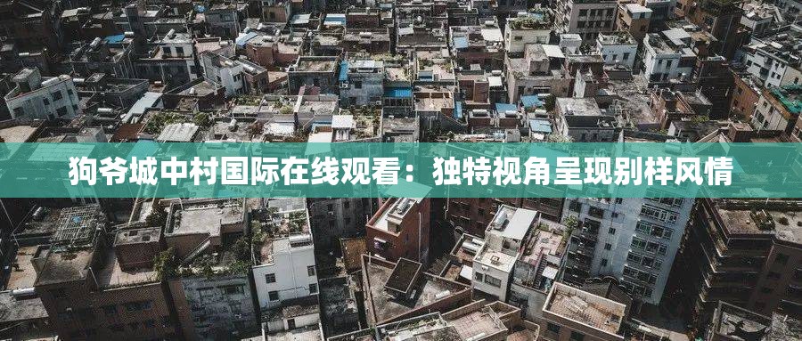 狗爷城中村国际在线观看：独特视角呈现别样风情
