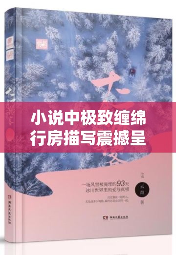 小说中极致缠绵行房描写震撼呈现