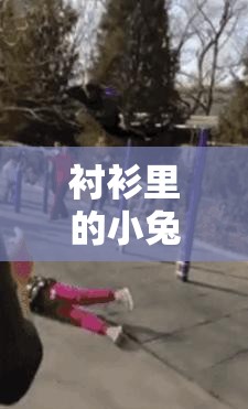衬衫里的小兔子蹦跶不停引发的奇妙趣事