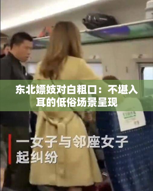 东北嫖妓对白粗口：不堪入耳的低俗场景呈现