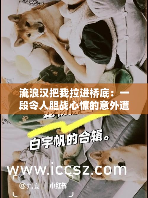 流浪汉把我拉进桥底：一段令人胆战心惊的意外遭遇