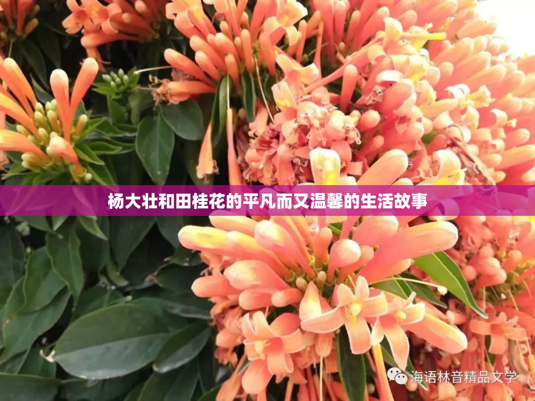 杨大壮和田桂花的平凡而又温馨的生活故事