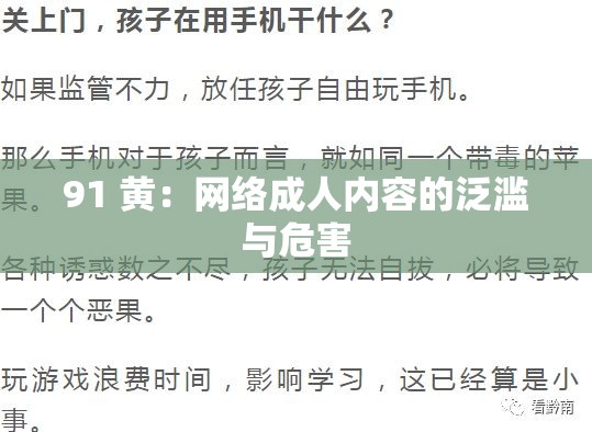 91 黄：网络成人内容的泛滥与危害