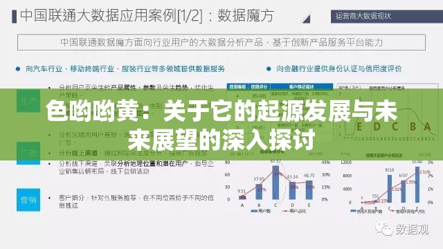 色哟哟黄：关于它的起源发展与未来展望的深入探讨