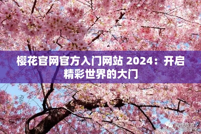 樱花官网官方入门网站 2024：开启精彩世界的大门
