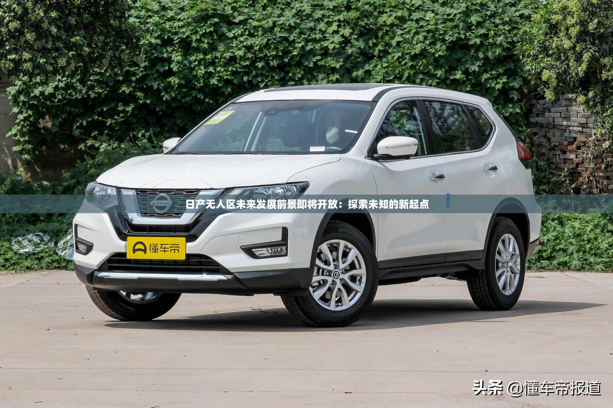 日产无人区未来发展前景即将开放：探索未知的新起点