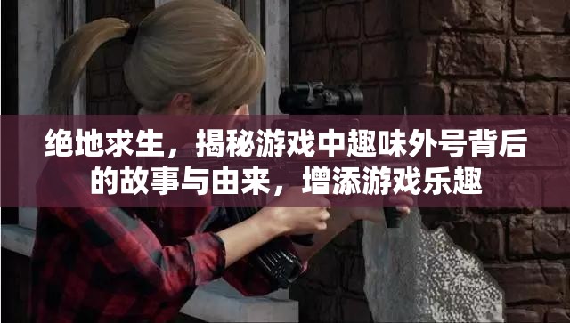 绝地求生，揭秘游戏中趣味外号背后的故事与由来，增添游戏乐趣