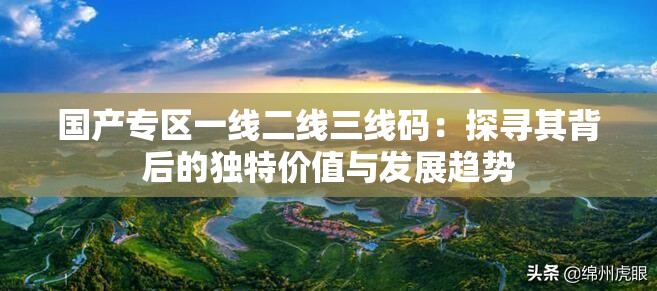 国产专区一线二线三线码：探寻其背后的独特价值与发展趋势