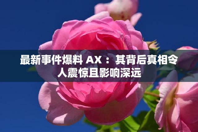 最新事件爆料 AX ：其背后真相令人震惊且影响深远