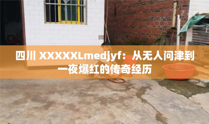四川 XXXXXLmedjyf：从无人问津到一夜爆红的传奇经历