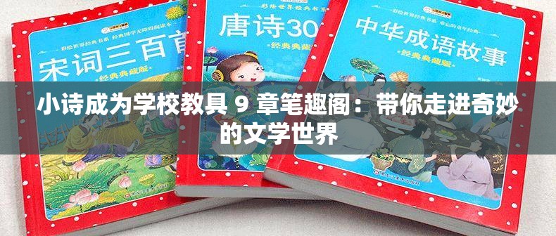 小诗成为学校教具 9 章笔趣阁：带你走进奇妙的文学世界