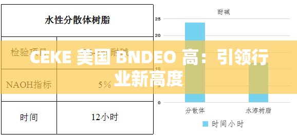 CEKE 美国 BNDEO 高：引领行业新高度