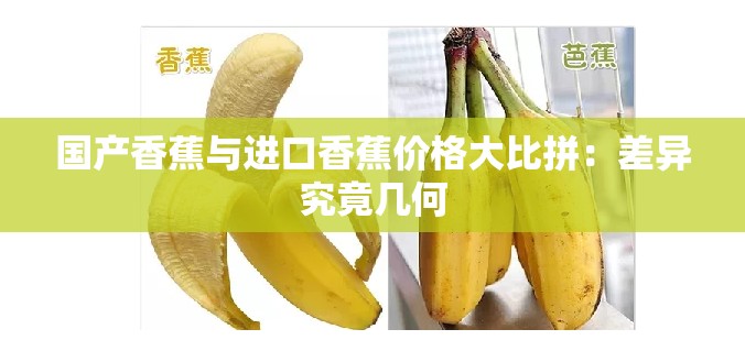 国产香蕉与进口香蕉价格大比拼：差异究竟几何