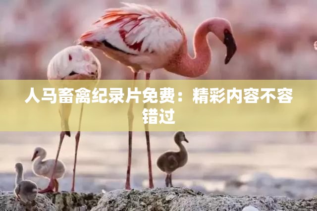 人马畜禽纪录片免费：精彩内容不容错过