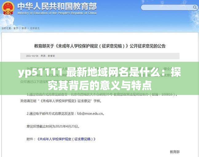 yp51111 最新地域网名是什么：探究其背后的意义与特点