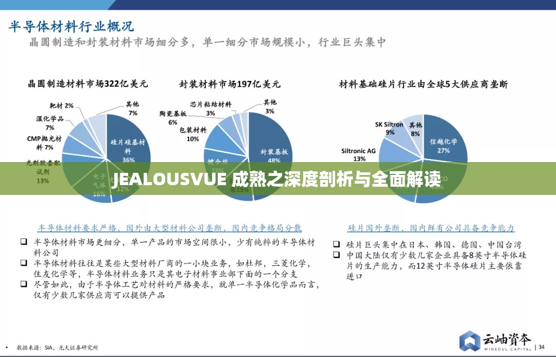 JEALOUSVUE 成熟之深度剖析与全面解读