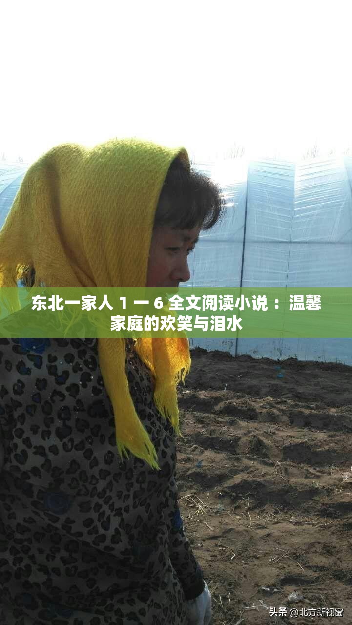 东北一家人 1 一 6 全文阅读小说 ：温馨家庭的欢笑与泪水