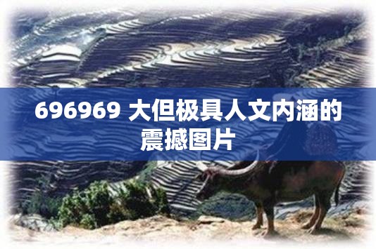 696969 大但极具人文内涵的震撼图片