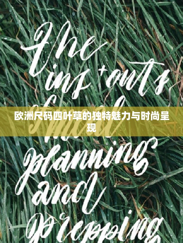 欧洲尺码四叶草的独特魅力与时尚呈现