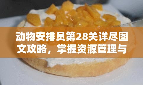 动物安排员第28关详尽图文攻略，掌握资源管理与高效利用技巧，巧妙避免浪费