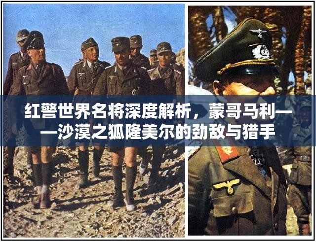 红警世界名将深度解析，蒙哥马利——沙漠之狐隆美尔的劲敌与猎手