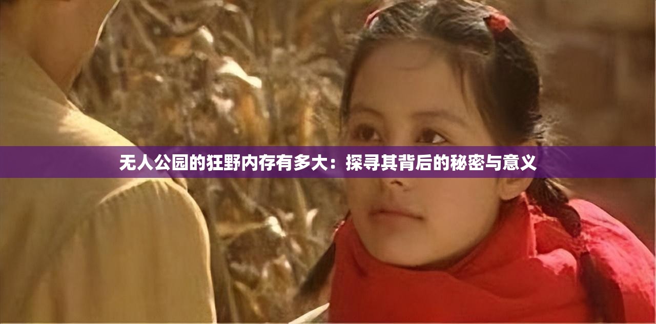 无人公园的狂野内存有多大：探寻其背后的秘密与意义