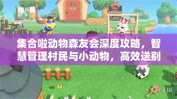 集合啦动物森友会深度攻略，智慧管理村民与小动物，高效送别与资源优化策略