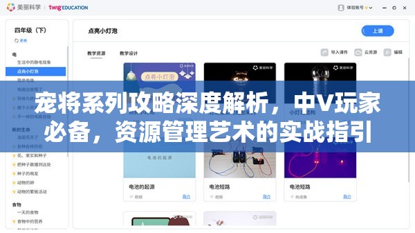 宠将系列攻略深度解析，中V玩家必备，资源管理艺术的实战指引篇1