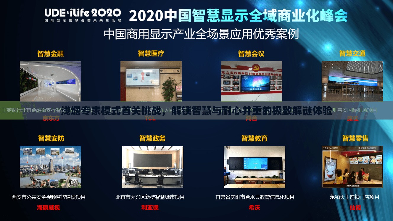 浅塘专家模式首关挑战，解锁智慧与耐心并重的极致解谜体验