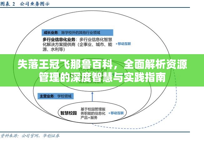 失落王冠飞那鲁百科，全面解析资源管理的深度智慧与实践指南