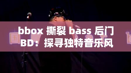 bbox 撕裂 bass 后门 BD：探寻独特音乐风格的神秘魅力