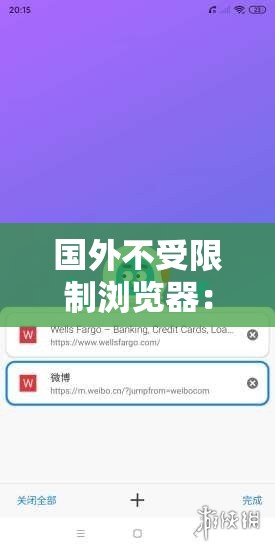 国外不受限制浏览器：畅享自由网络世界的利器