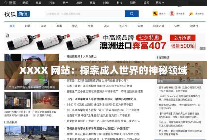 XXXX 网站：探索成人世界的神秘领域