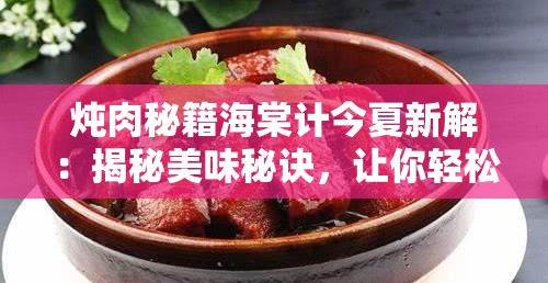 炖肉秘籍海棠计今夏新解：揭秘美味秘诀，让你轻松成为大厨