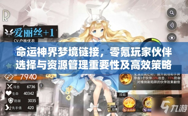 命运神界梦境链接，零氪玩家伙伴选择与资源管理重要性及高效策略