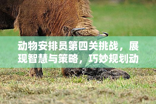 动物安排员第四关挑战，展现智慧与策略，巧妙规划动物栖息地的完美碰撞